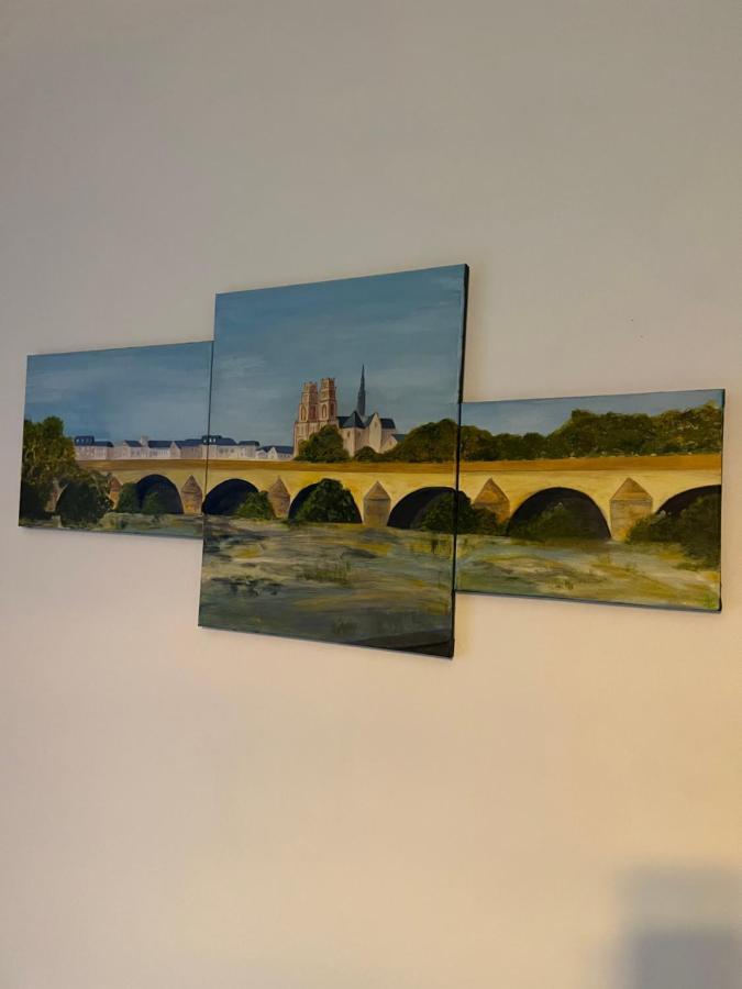 Cosy Loire, T2 Neuf, Front De Loire ,Vue Cathedrale,5Min A Pied Centre Ville Et Parking Prive Orleans Bagian luar foto